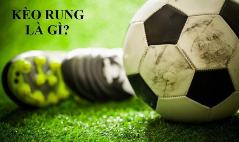 Kèo rung là gì? Fm88 Giải đáp mọi thắc mắc về loại kèo hấp dẫn này 2 Kèo rung là gì?